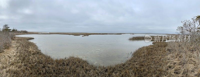 Assateague -全景视图